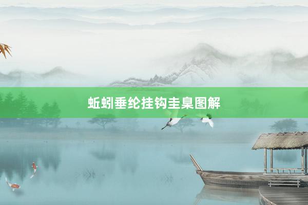蚯蚓垂纶挂钩圭臬图解